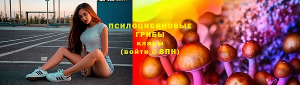 твердый Бугульма