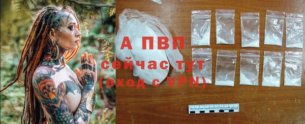 герыч Бородино