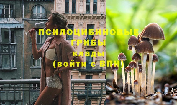 герыч Бородино