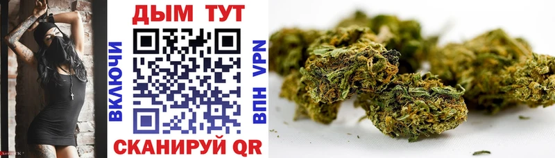 Конопля White Widow  KRAKEN онион  Отрадная  сколько стоит 